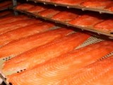 Undercurrent News, July 24 2014: Stricter sealice rules in Norway, tight supply could see salmon prices spike in 2015, say analysts