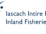 Inland Fisheries Ireland, 10 Sept 2015: Salmon farms can have a significant impact on wild salmon and sea trout stocks